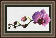 0108-Юнона "Маленькая орхидея" 23,5х14,5 см