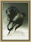 0113-Юнона "Черный конь" 22,5х32 см