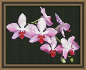 0116-Юнона "Ветка орхидеи" 22,5х17,5 см