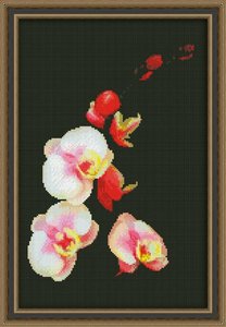 0118-Юнона "Розовая орхидея" 20х31 см