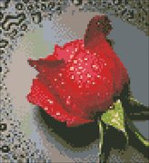 АЖ-0014 "Красная роза"  22х24 см