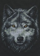 02.001-Палитра "Взгляд волка" 21х27 см