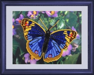 101-Butterfly "Бабочка" 25х32 см