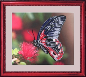103-Butterfly "Бабочка" 24х28 см