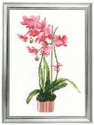 1162-Риолис "Розовая орхидея" 21x30 см