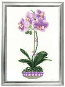1163-Риолис "Сиреневая орхидея" 21x30 см