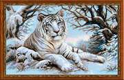 1184-Риолис "Бенгальский тигр" 60x40 см
