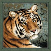 1282-Риолис "Амурский тигр" 40x40 см