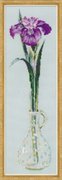 1374-Риолис "Король цветов" 15х50 см
