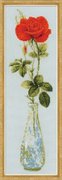 1375-Риолис "Королева цветов" 15х50 см