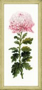 1425-Риолис "Нежный цветок" 20х50 см