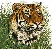 АЖ-485 "Уссурийский тигр" 47x50 см