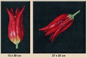 491-Овен "Тюльпаны-диптих" 27х25;13х30 см