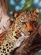 GX9987-Paintboy "Леопард на отдыхе" 40х50 см