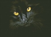 М-301-Паутинка "Черная кошка" 52х38 см