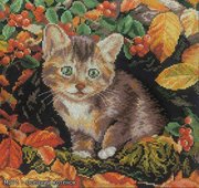 М-271-РТО "Осенний котенок"  25x25 см