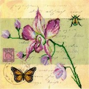 М-70017-РТО "Почтовая открытка-Орхидея" 25х25 см