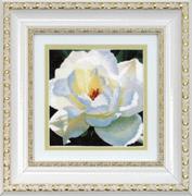РК-034ЧМ "Белая роза" 11,5х11,5 см
