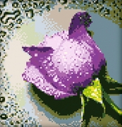 АЖ-0016 "Сиреневая роза" 22х24 см